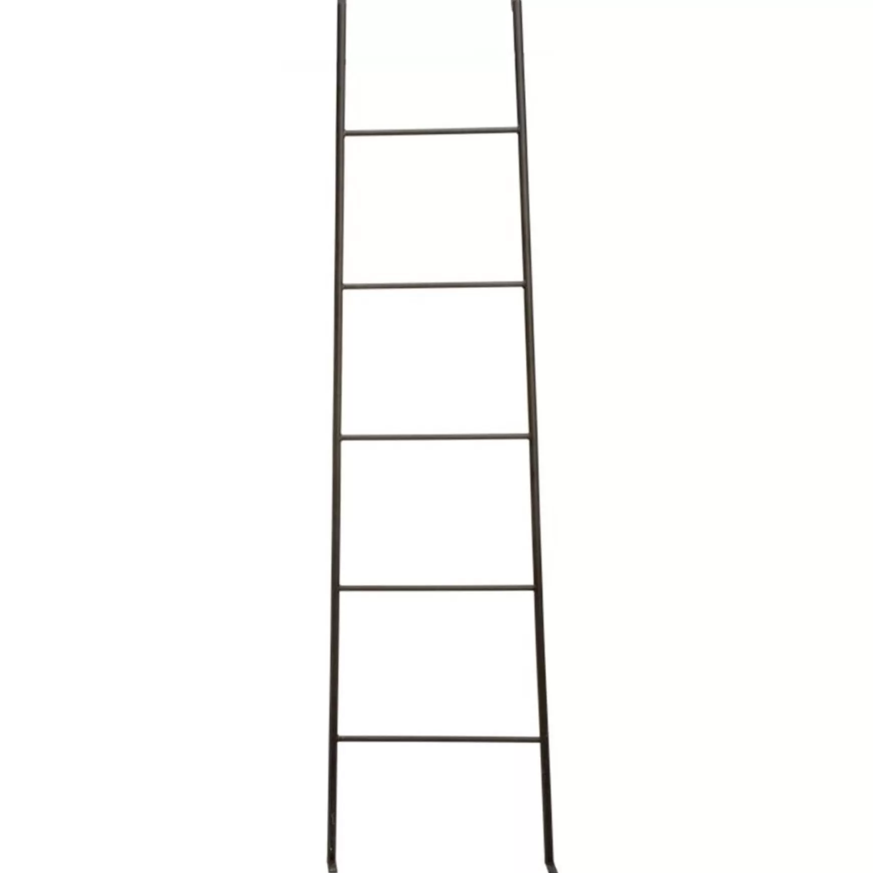 Organization*Pine Center Metal Ladder