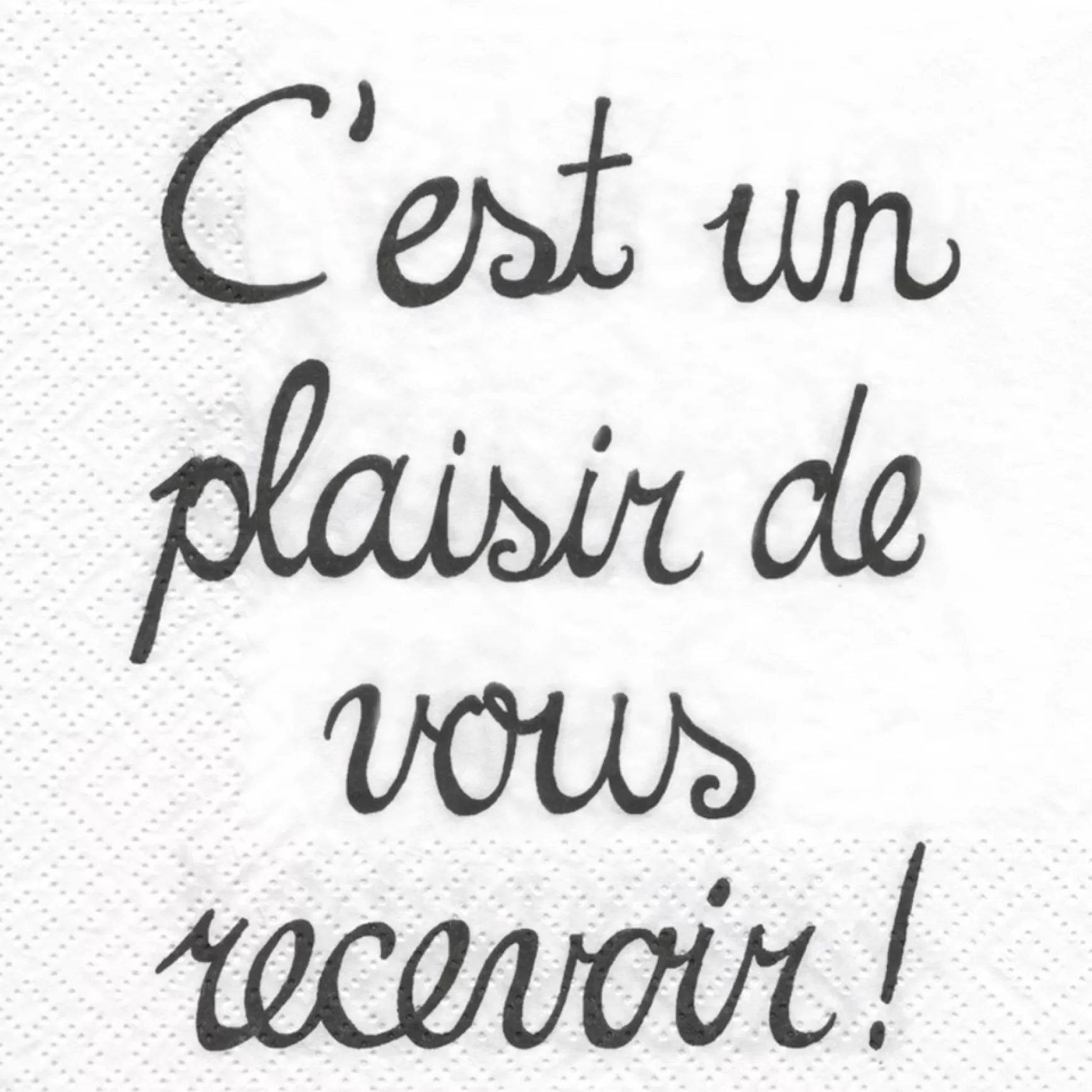 Tablecloths, Placemats & Napkins*Attitudes Import 2 Napkins - C'Est Un Plaisir