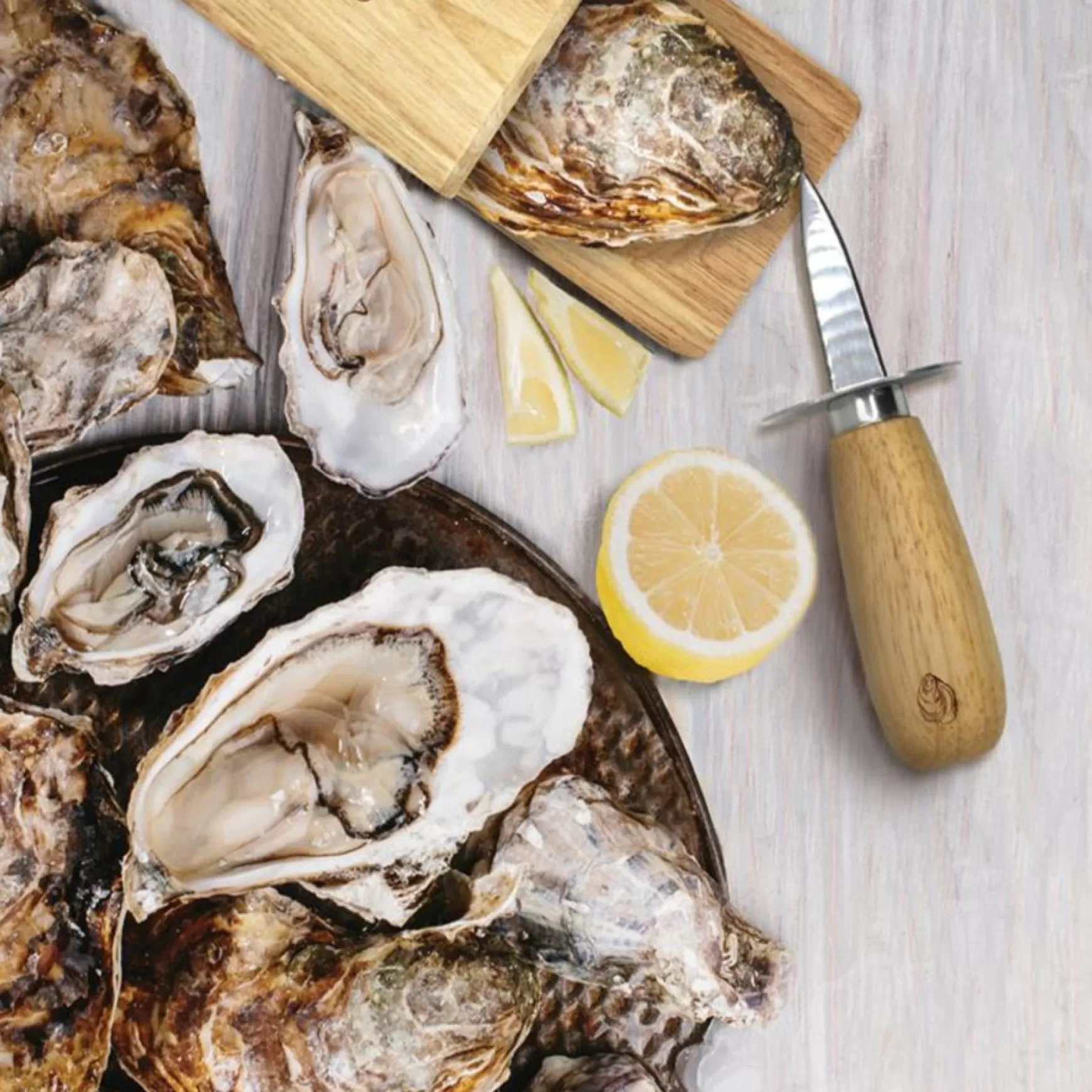 Preparation & Cooking*Danesco Oyster Tool Kit