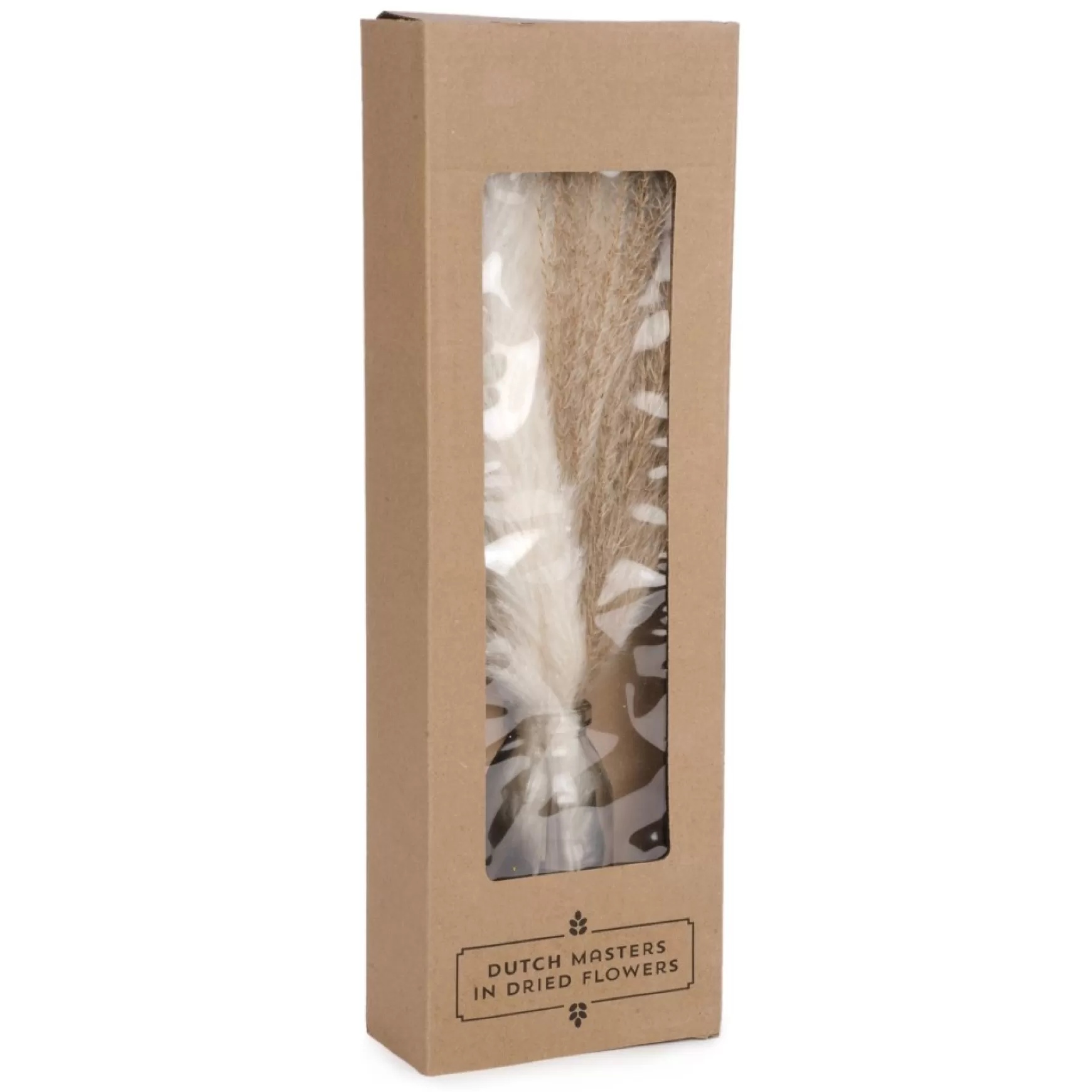 Arrangements*Attitudes Import Pampas Grass In A Vase