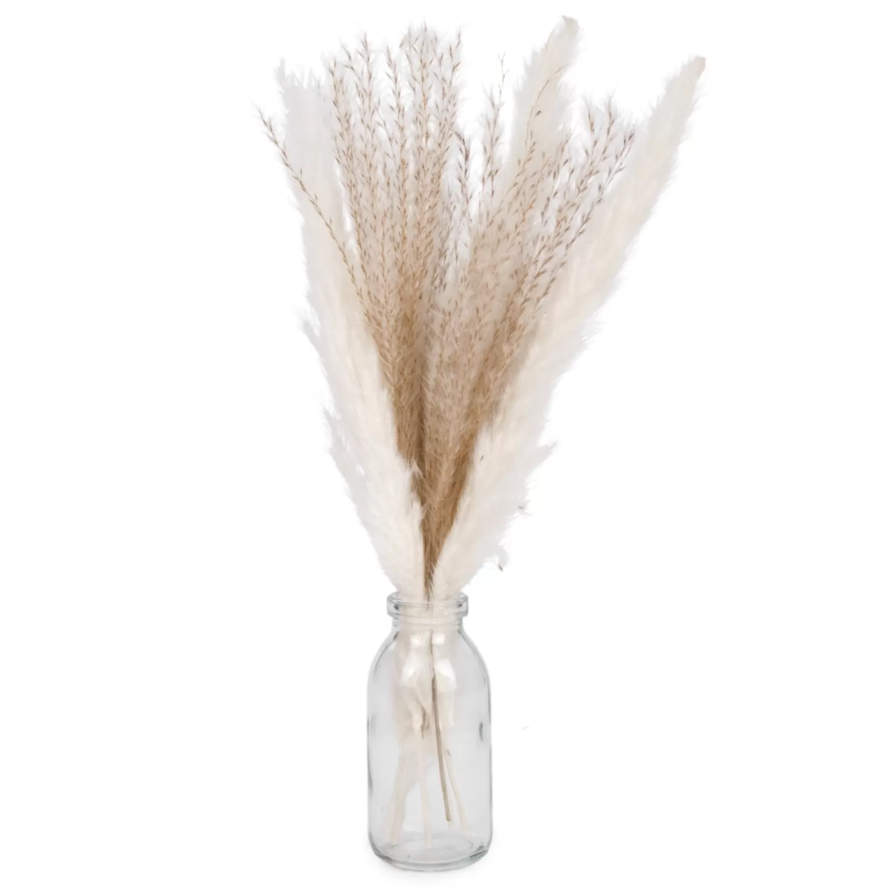 Arrangements*Attitudes Import Pampas Grass In A Vase