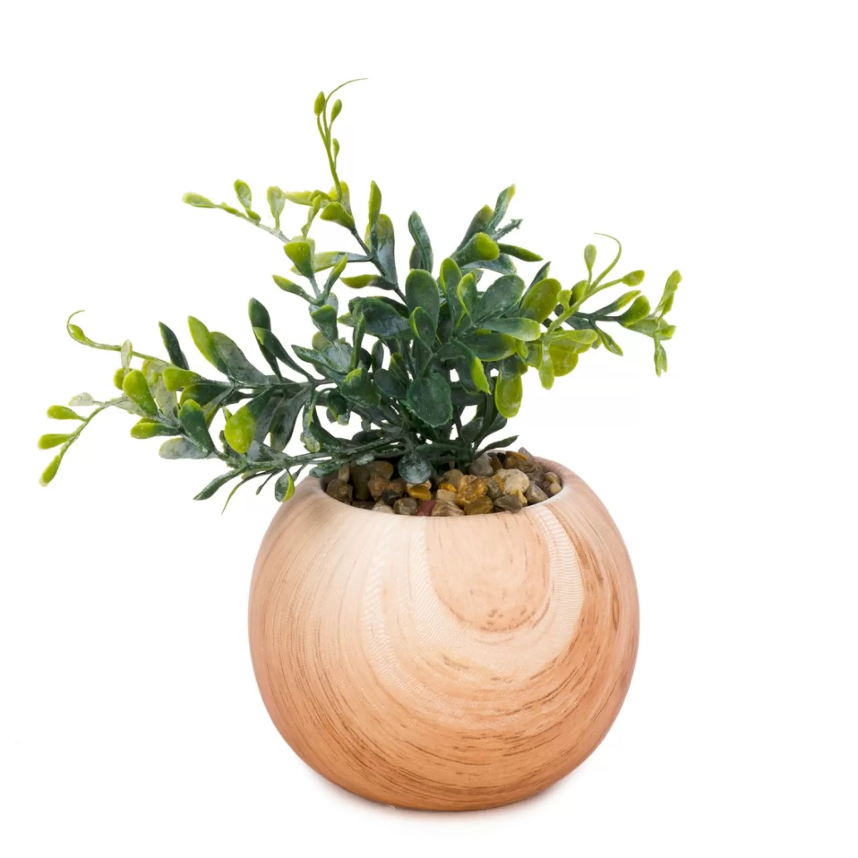 Arrangements*Attitudes Import Plant In A Pot - Wood Effect