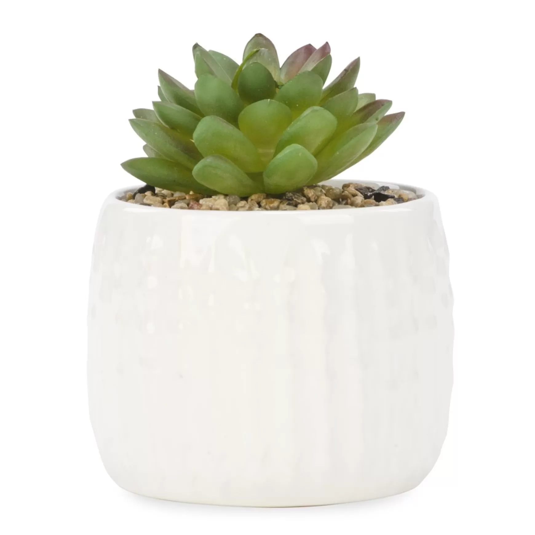 Arrangements*Attitudes Import Plant In White Textured Pot