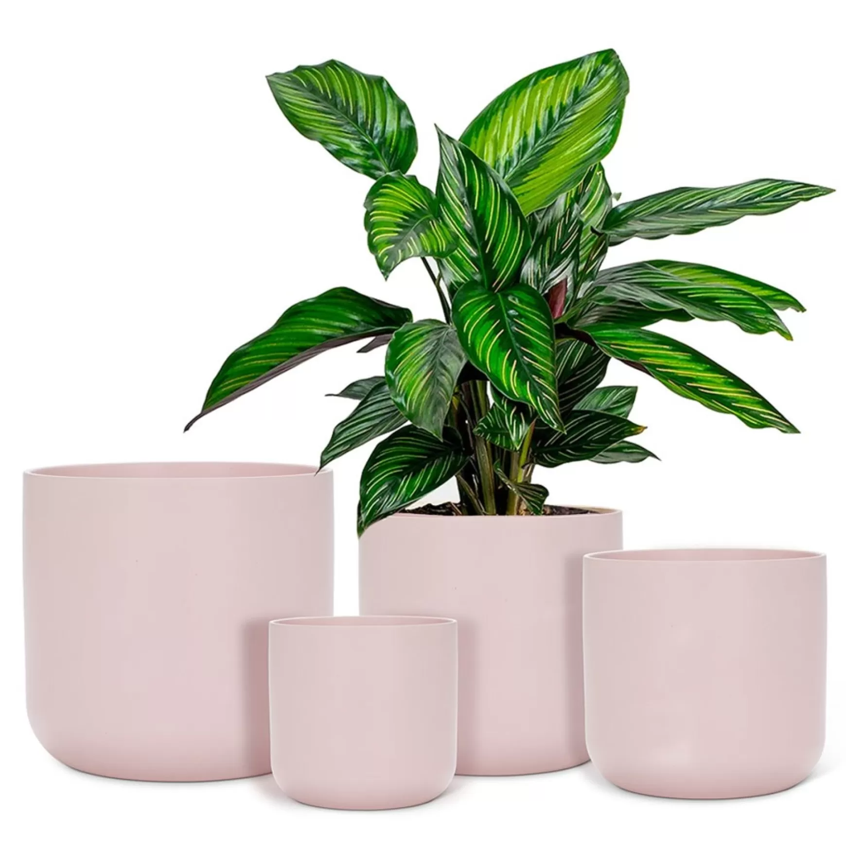 Vases & Pots*Abbott Planter - Pink Pastel