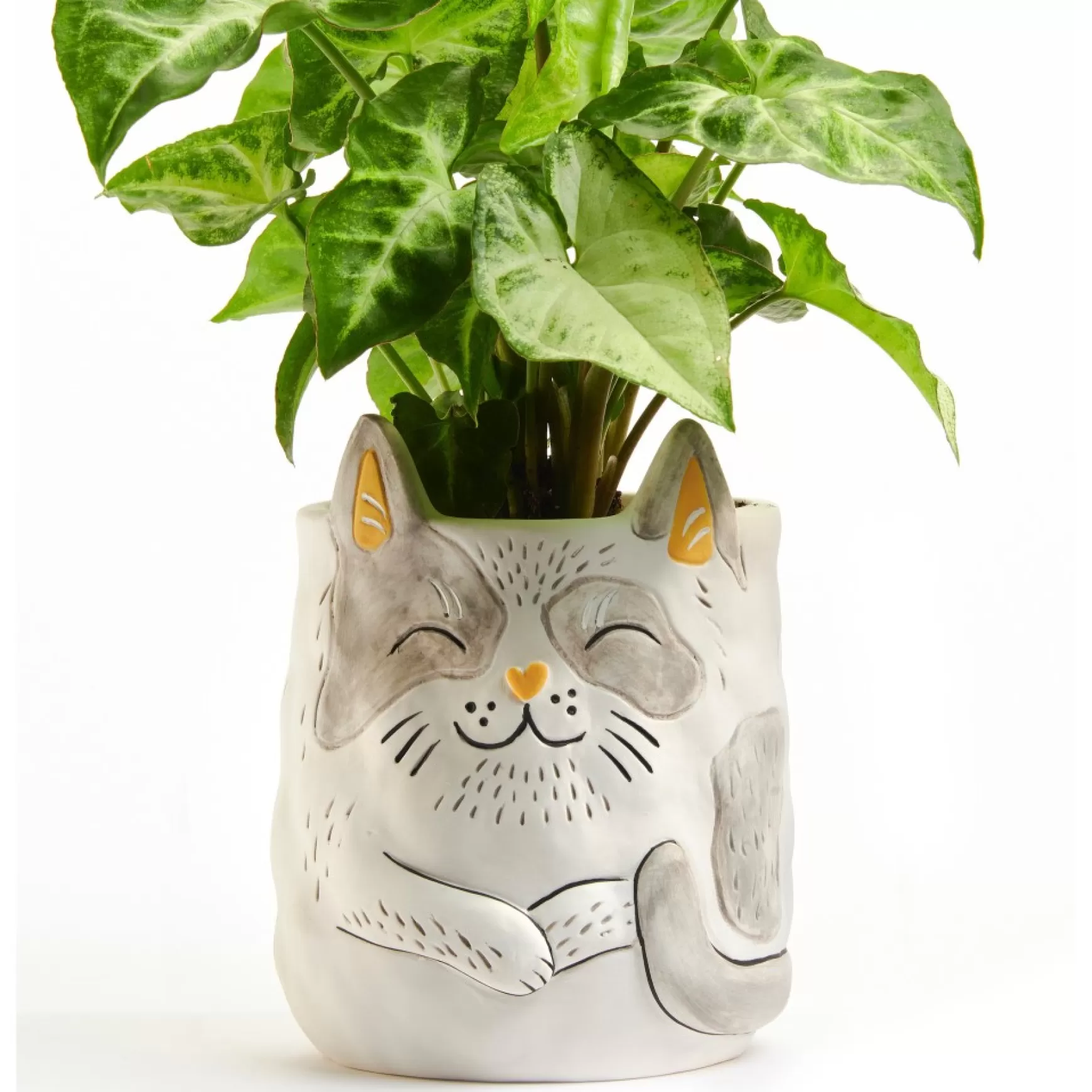 Vases & Pots*Gift Craft Planter Cover - Cat