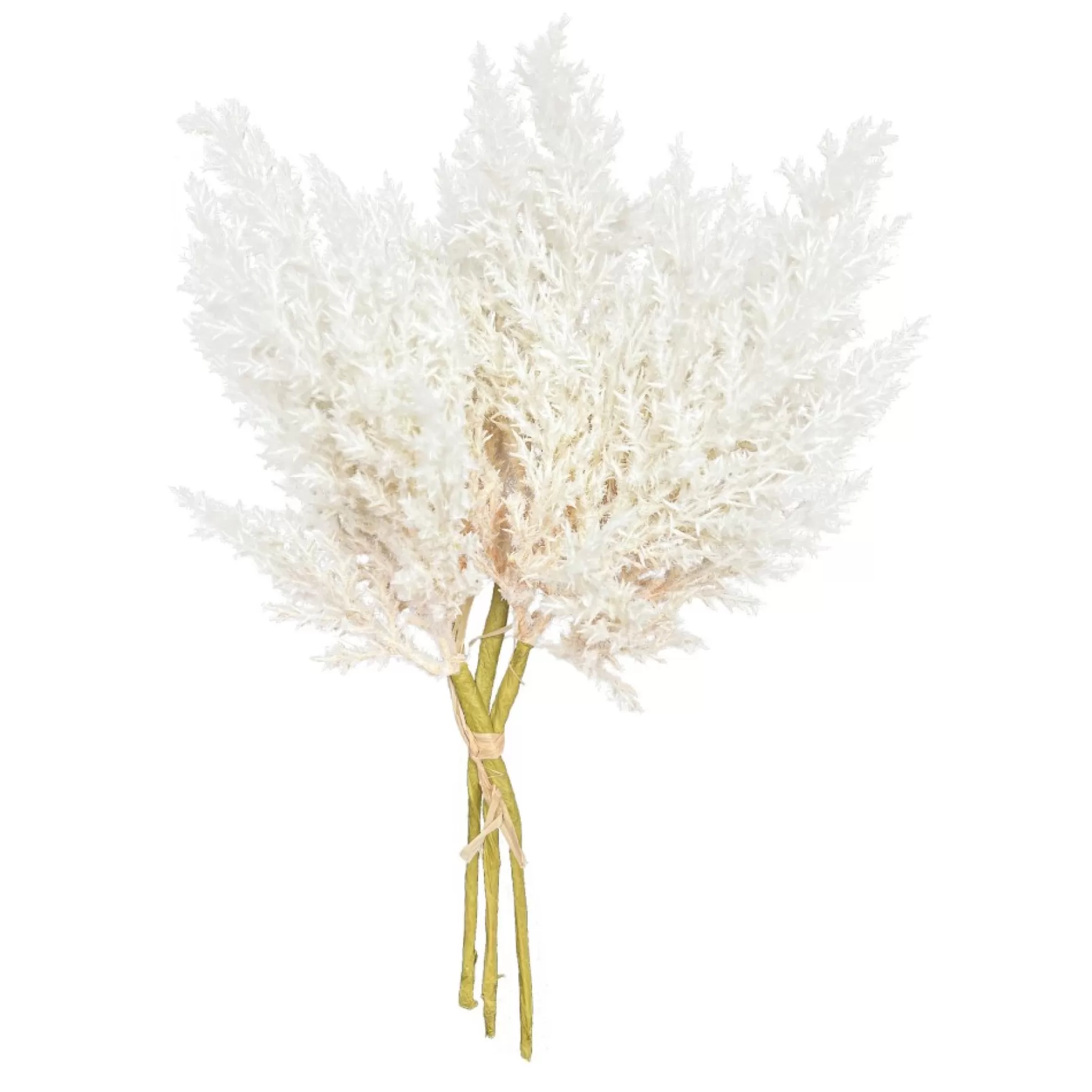Dried Stems & Flowers*Nostalgia Import Reed Stems - White