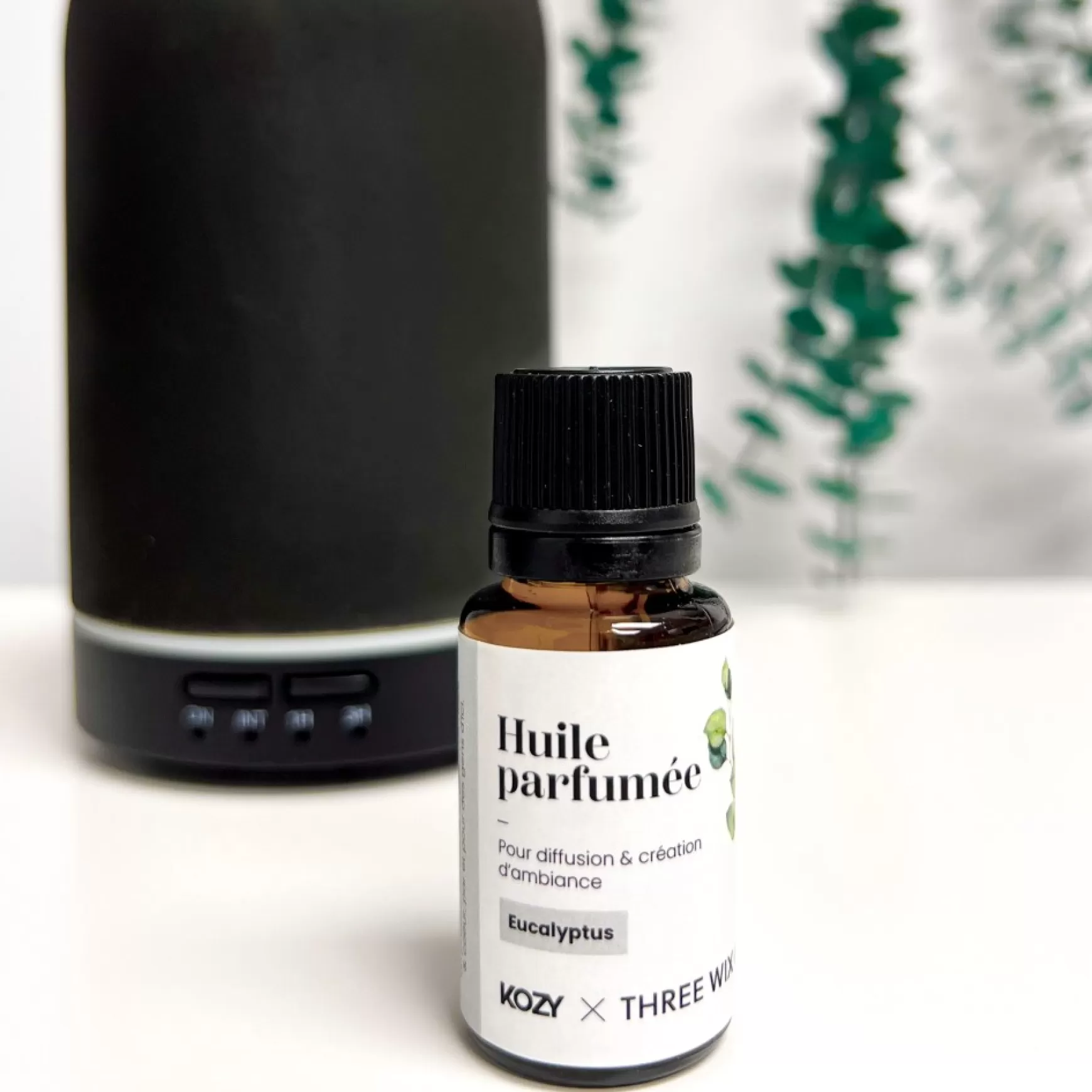 Essential & Scented Oils*Kozy x Three Wix & CO Scented Oil - Eucalyptus