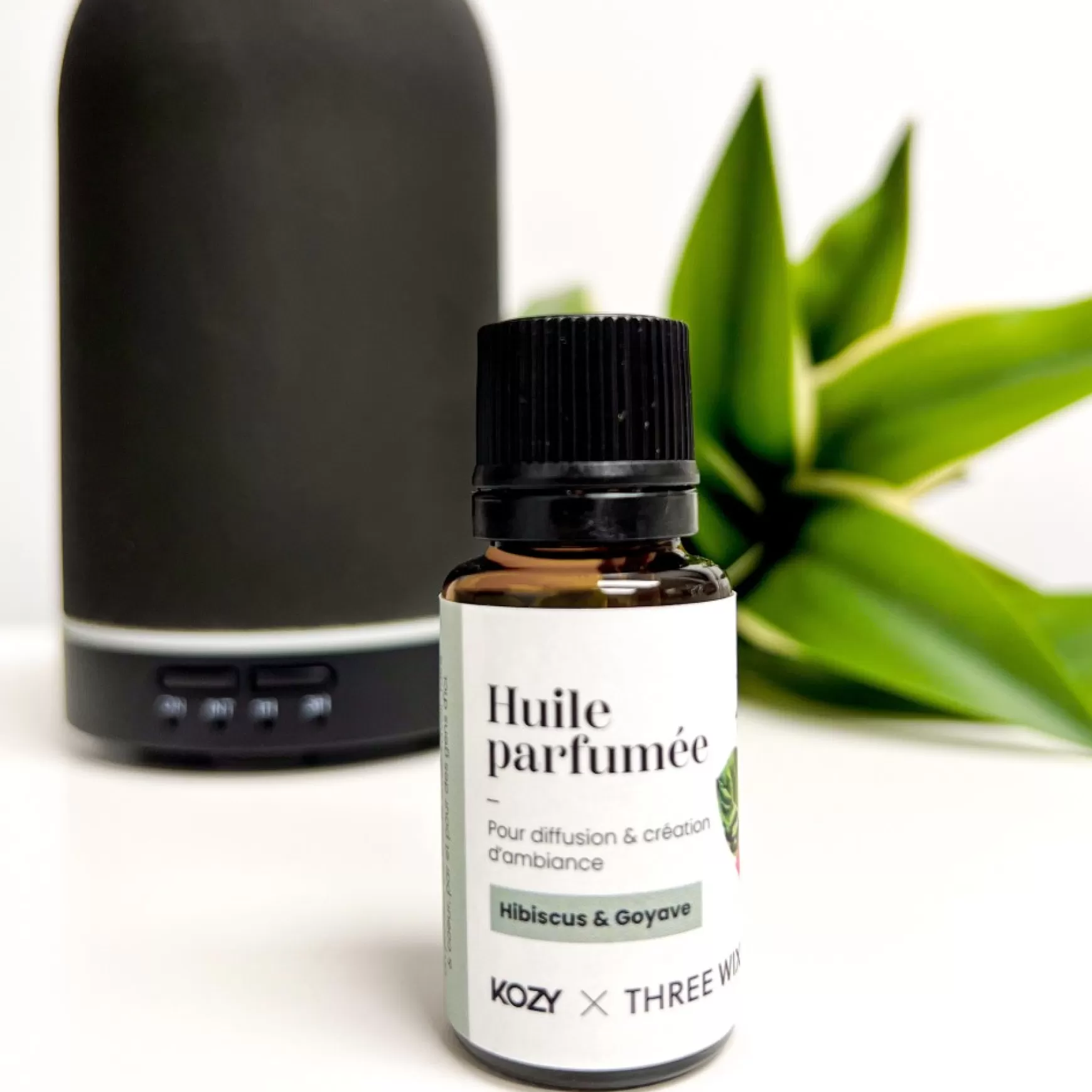 Essential & Scented Oils*Kozy x Three Wix & CO Scented Oil - Hibiscus & Guava