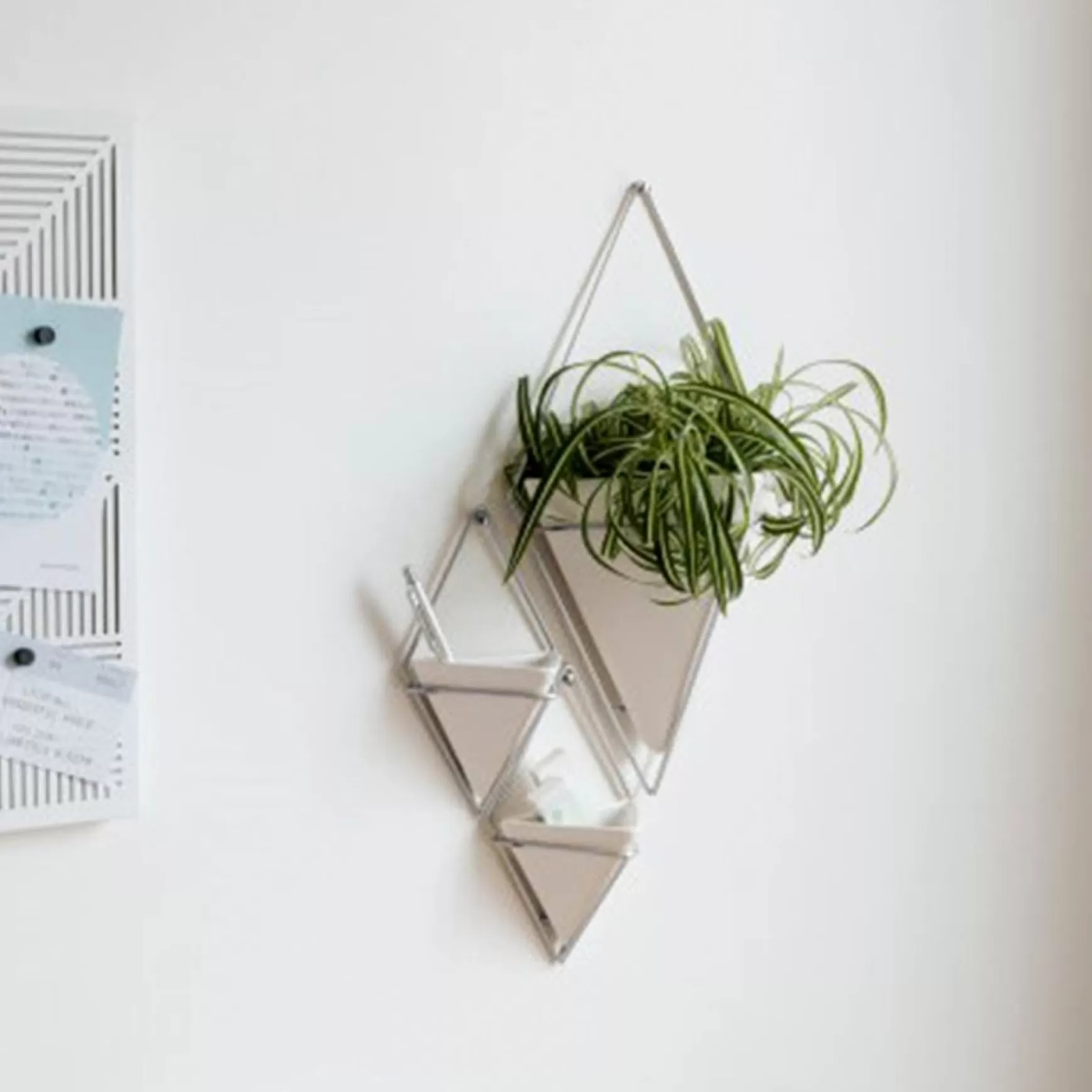 Wall Planters*Umbra Set Of 2 Wall Mounted Planters - Trigg