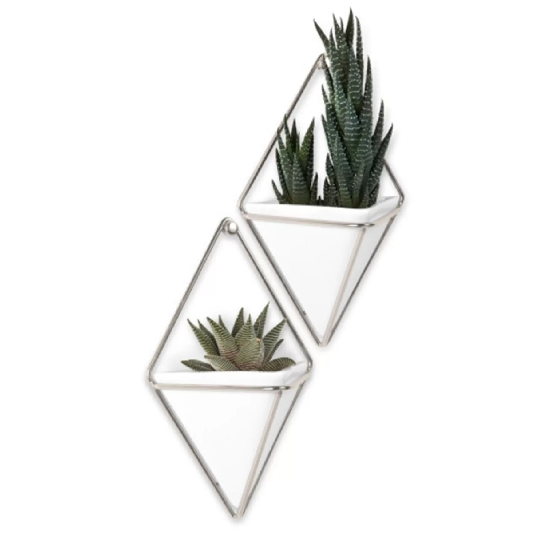 Wall Planters*Umbra Set Of 2 Wall Mounted Planters - Trigg