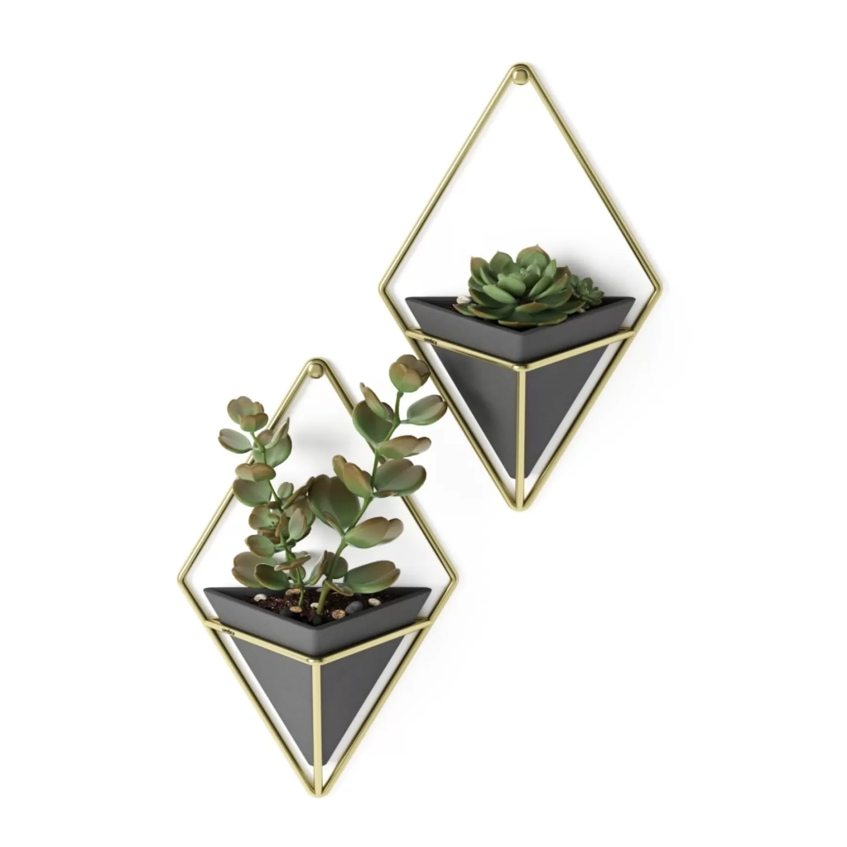 Wall Planters*Umbra Set Of 2 Wall Mounted Planters - Trigg Black