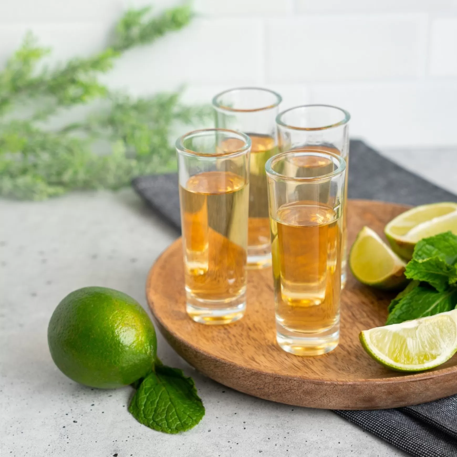 All For Spirits*Agence K Set Of 4 Shot Glasses