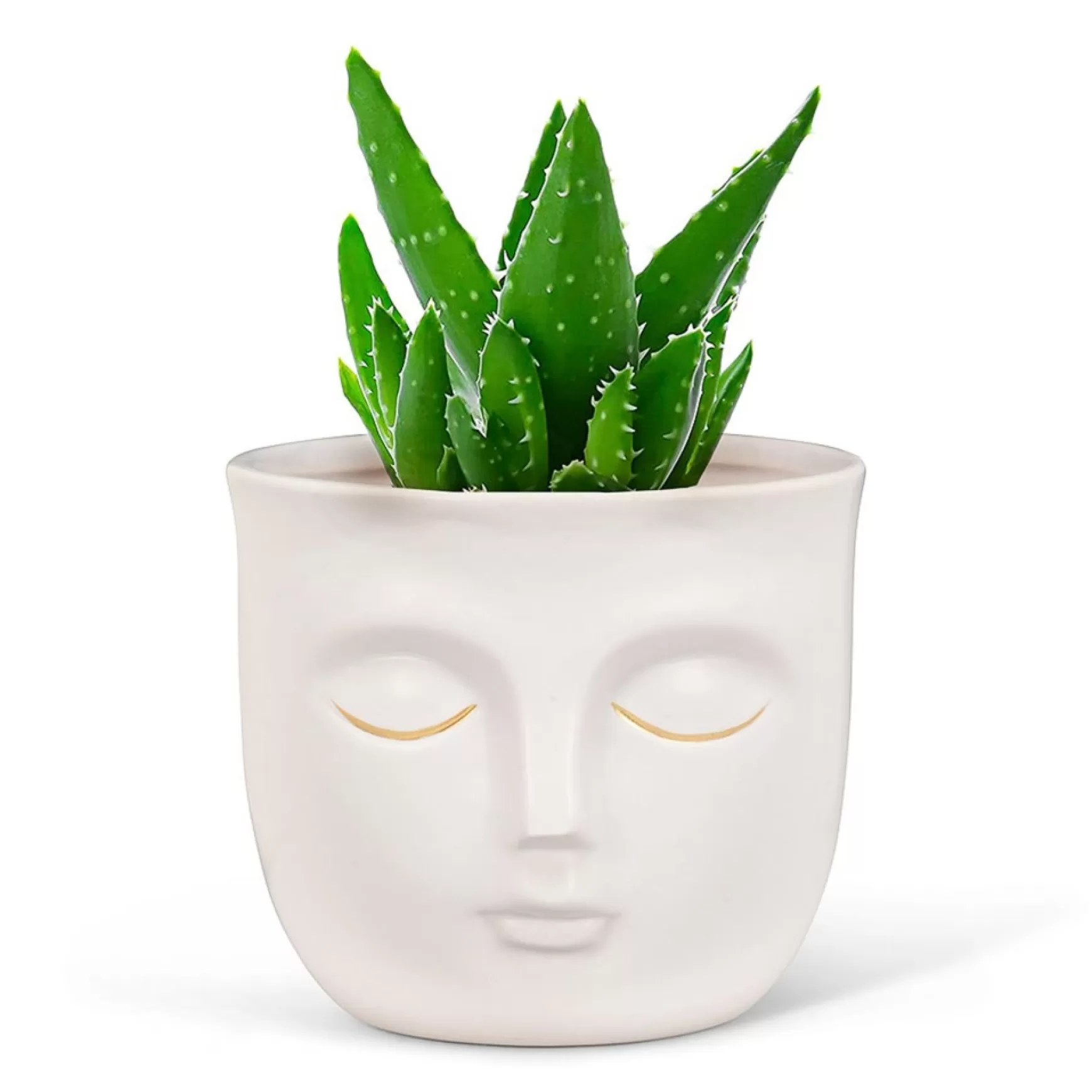 Vases & Pots*Abbott Sleeping Face Planter - White