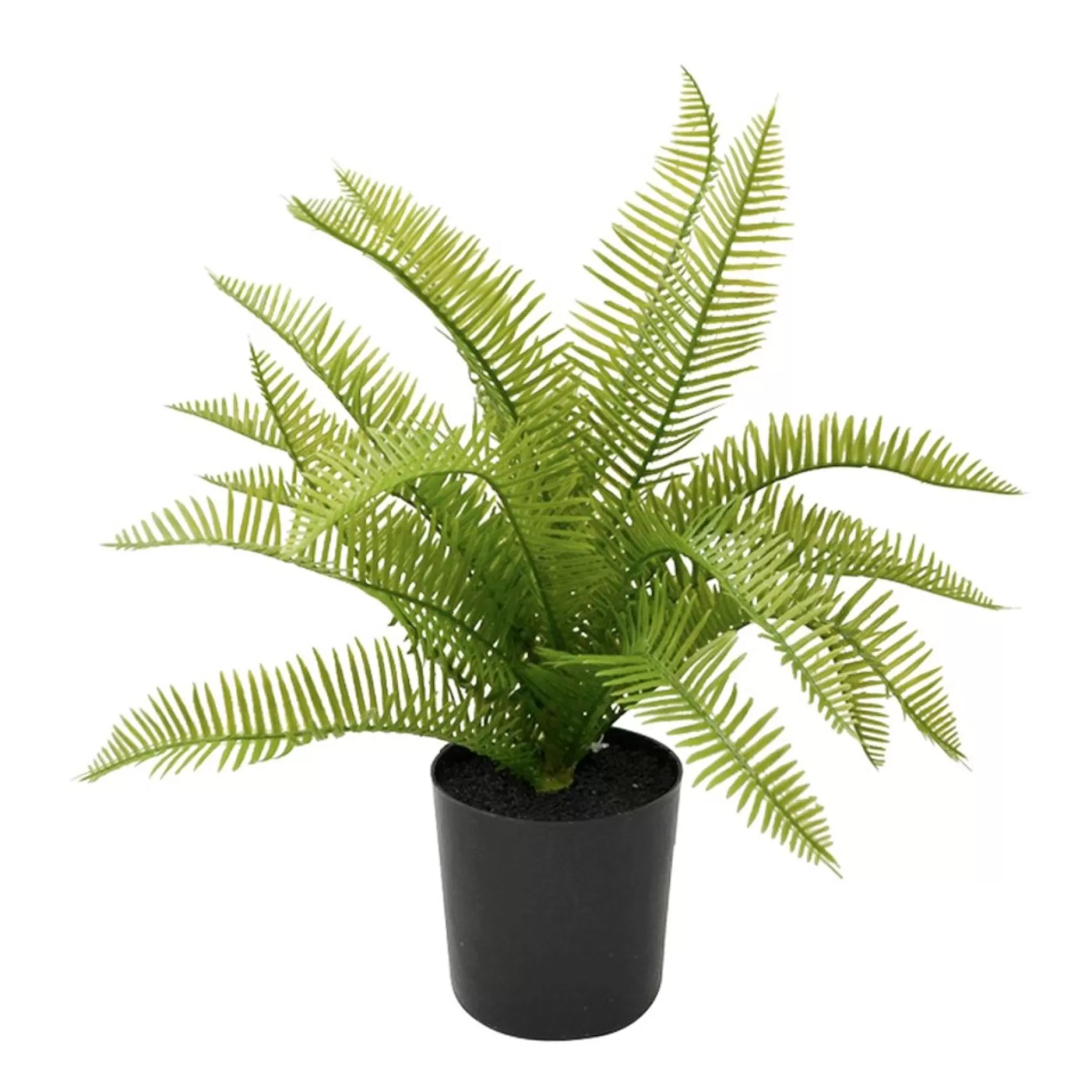 Arrangements*Nostalgia Import Small Fern In A Pot - Black