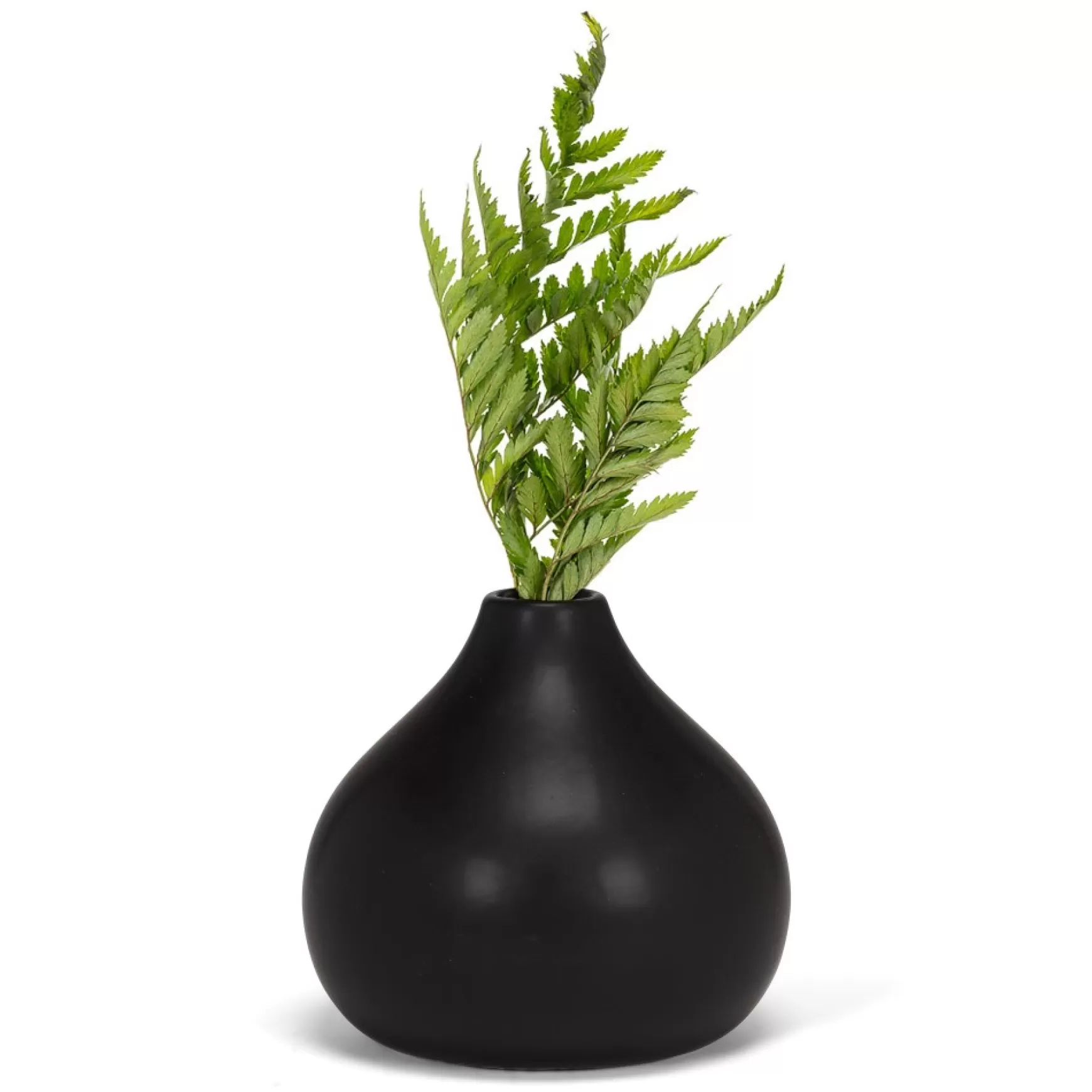 Vases & Pots*Abbott Small Matte Black Vase - Cashmere
