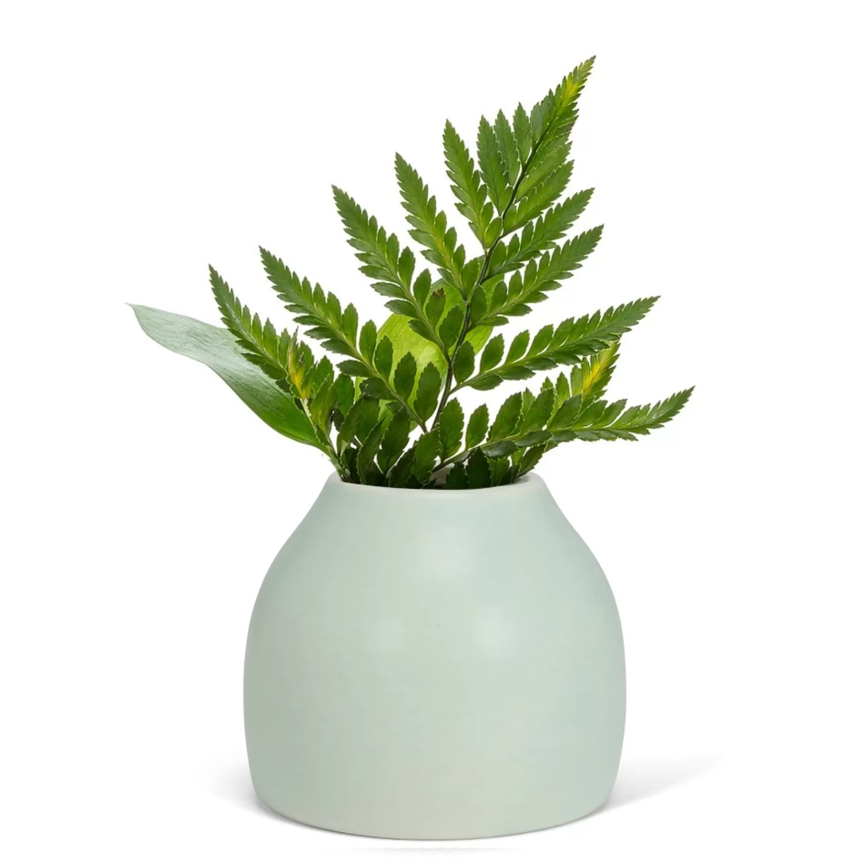Vases & Pots*Abbott Small Matte Green Vase - Cashmere