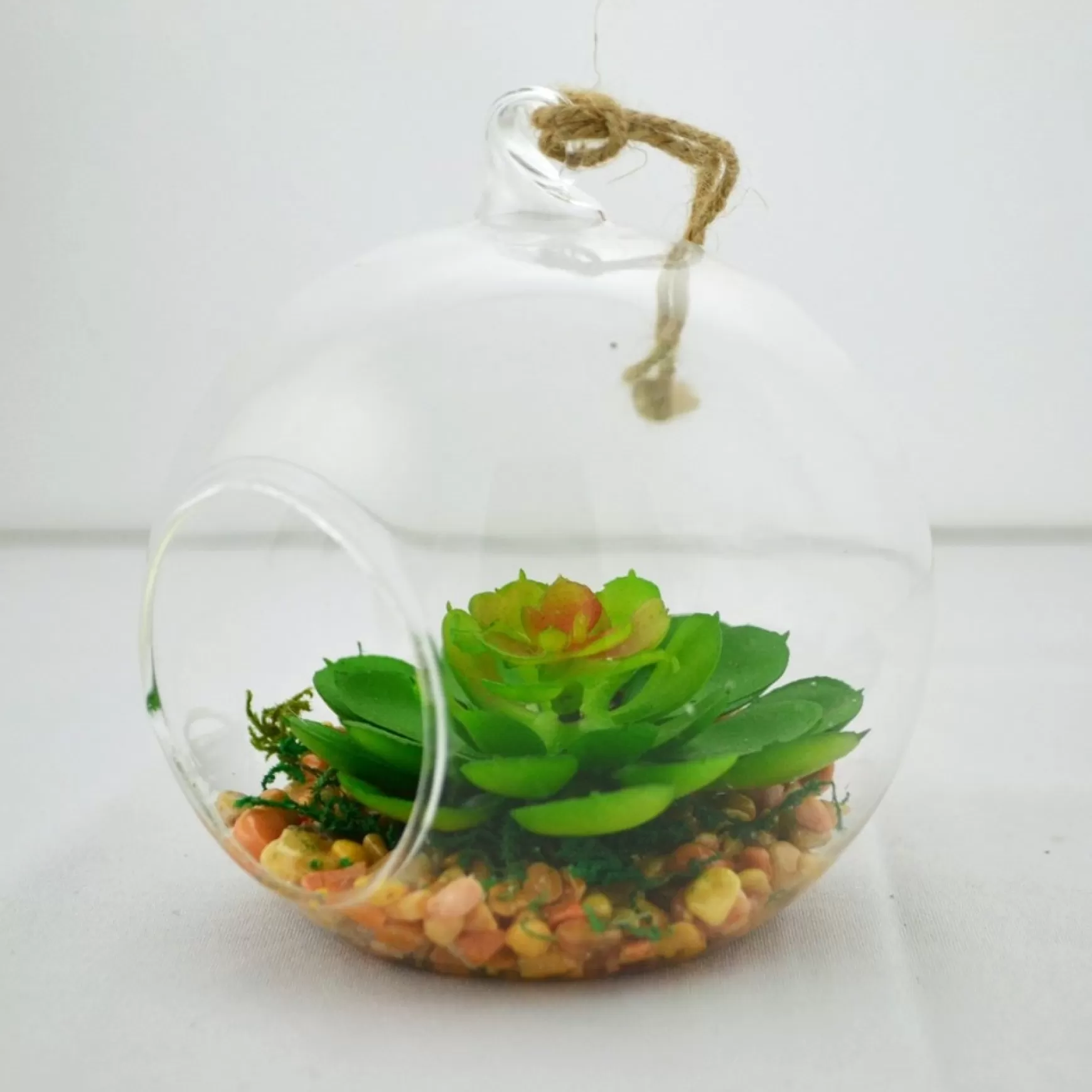 Arrangements*Nostalgia Import Small Terrarium Ball Echeveria