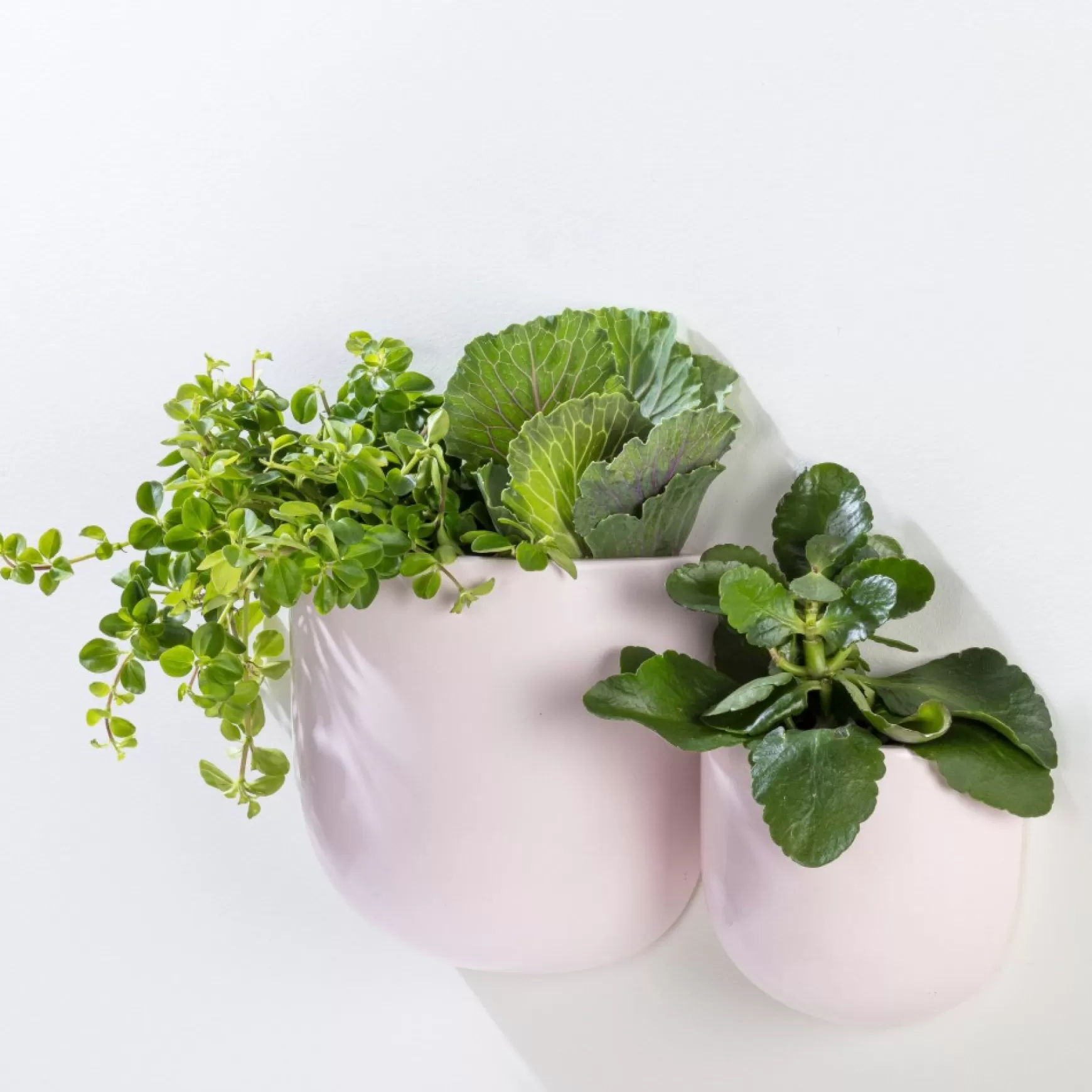 Planters*Abbott Small Wall Vase - Pink