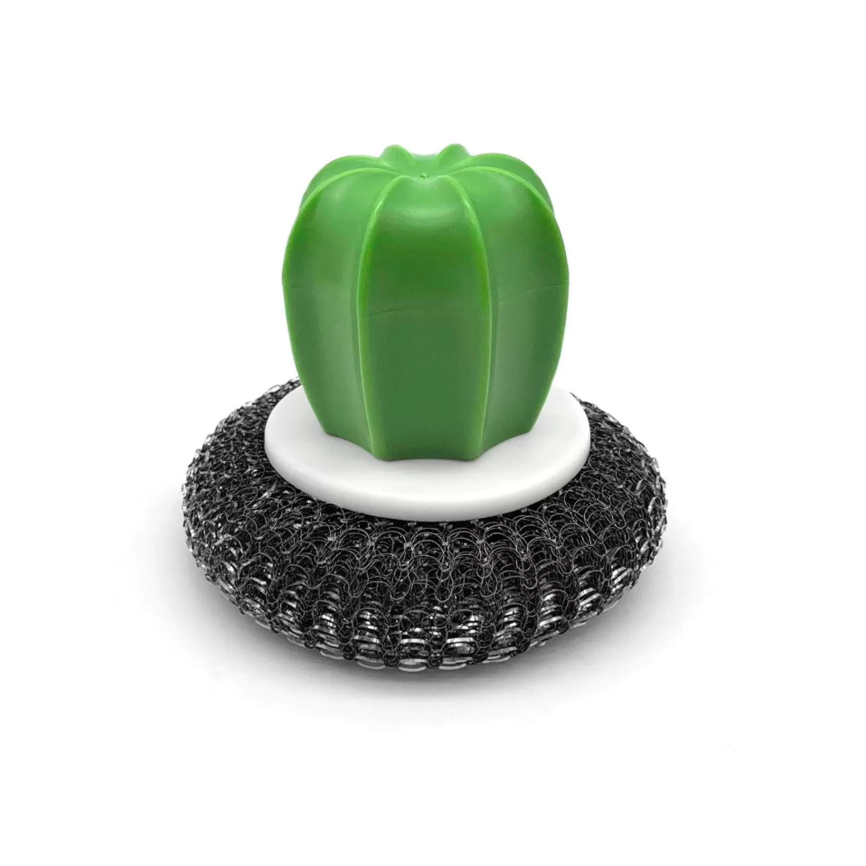 Maintenance & Cleaning*Ricardo Stainless Steel Scrubbing Brush