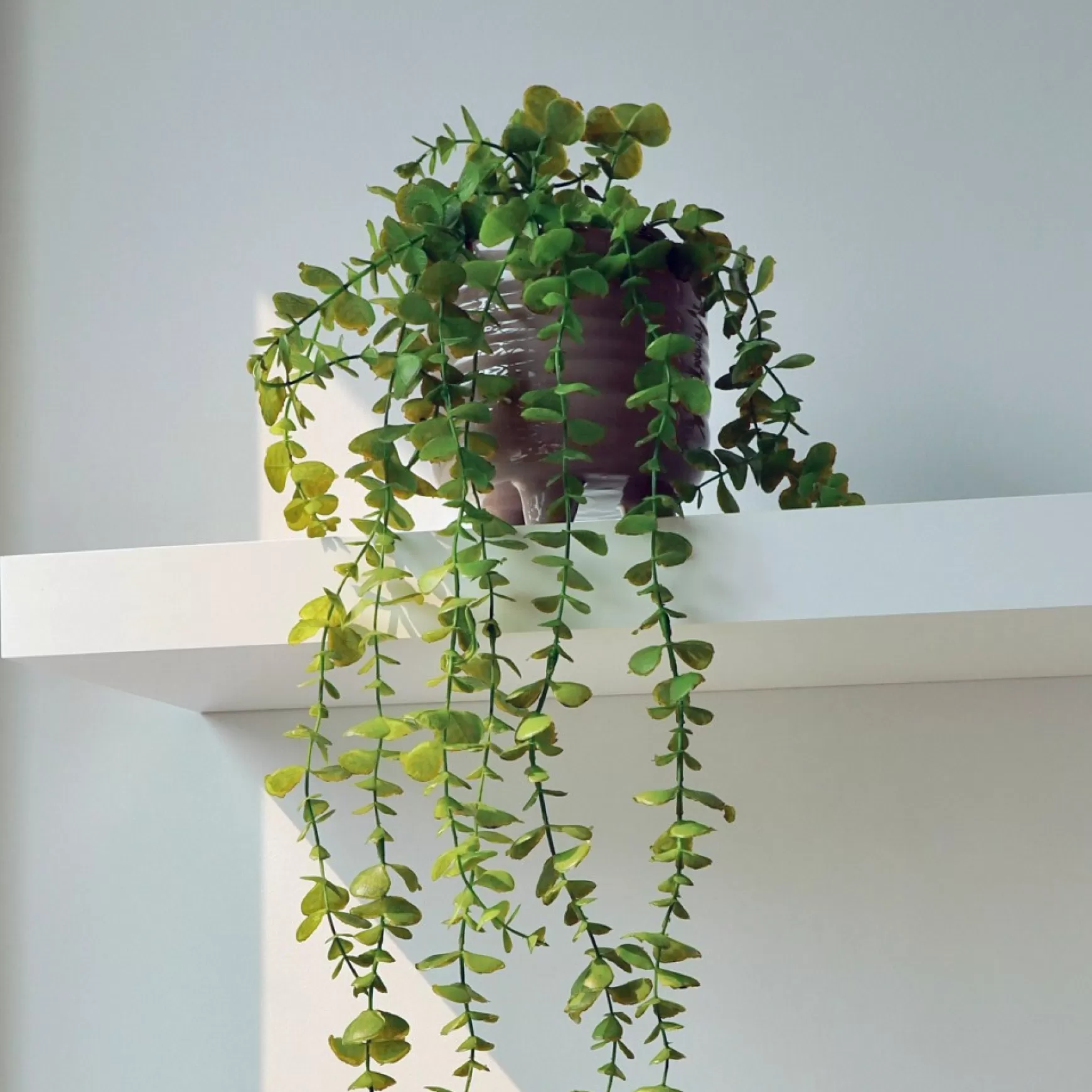 Vases & Pots*Danson Decor Standing Planter - Lined
