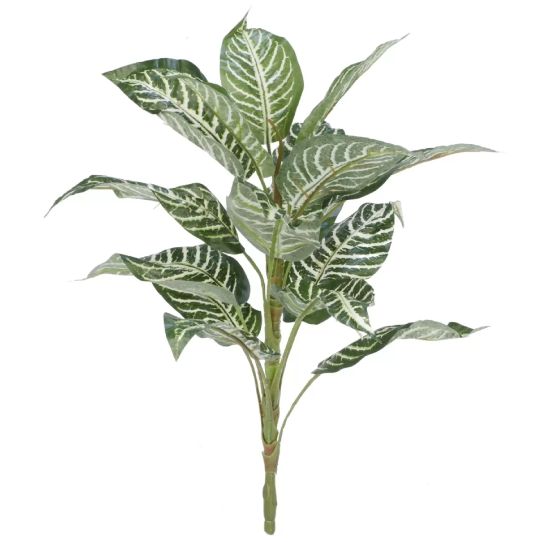 Greenery*Attitudes Import 2 Stem Green Foliage
