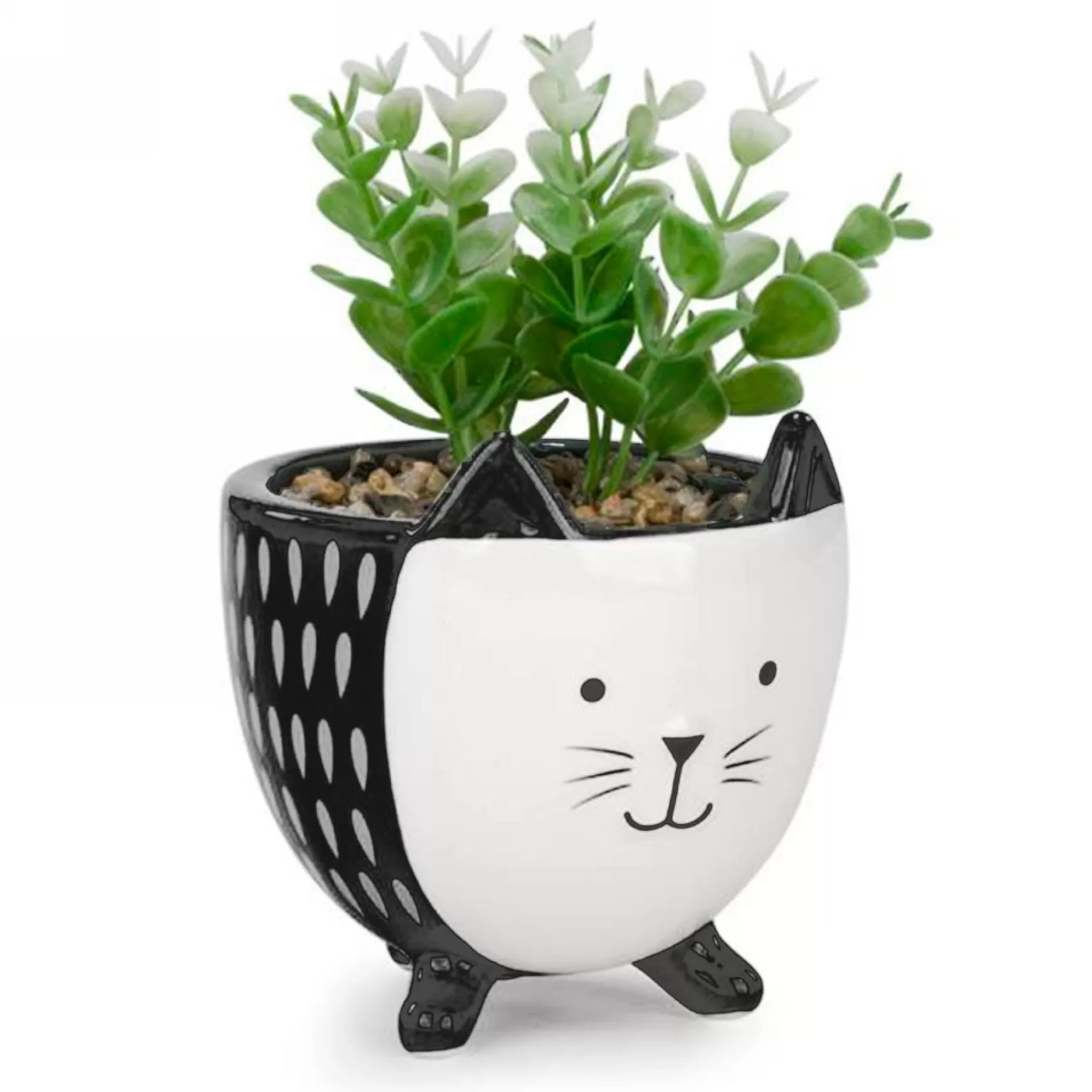 Arrangements*Attitudes Import Succulents In Pot - Cat