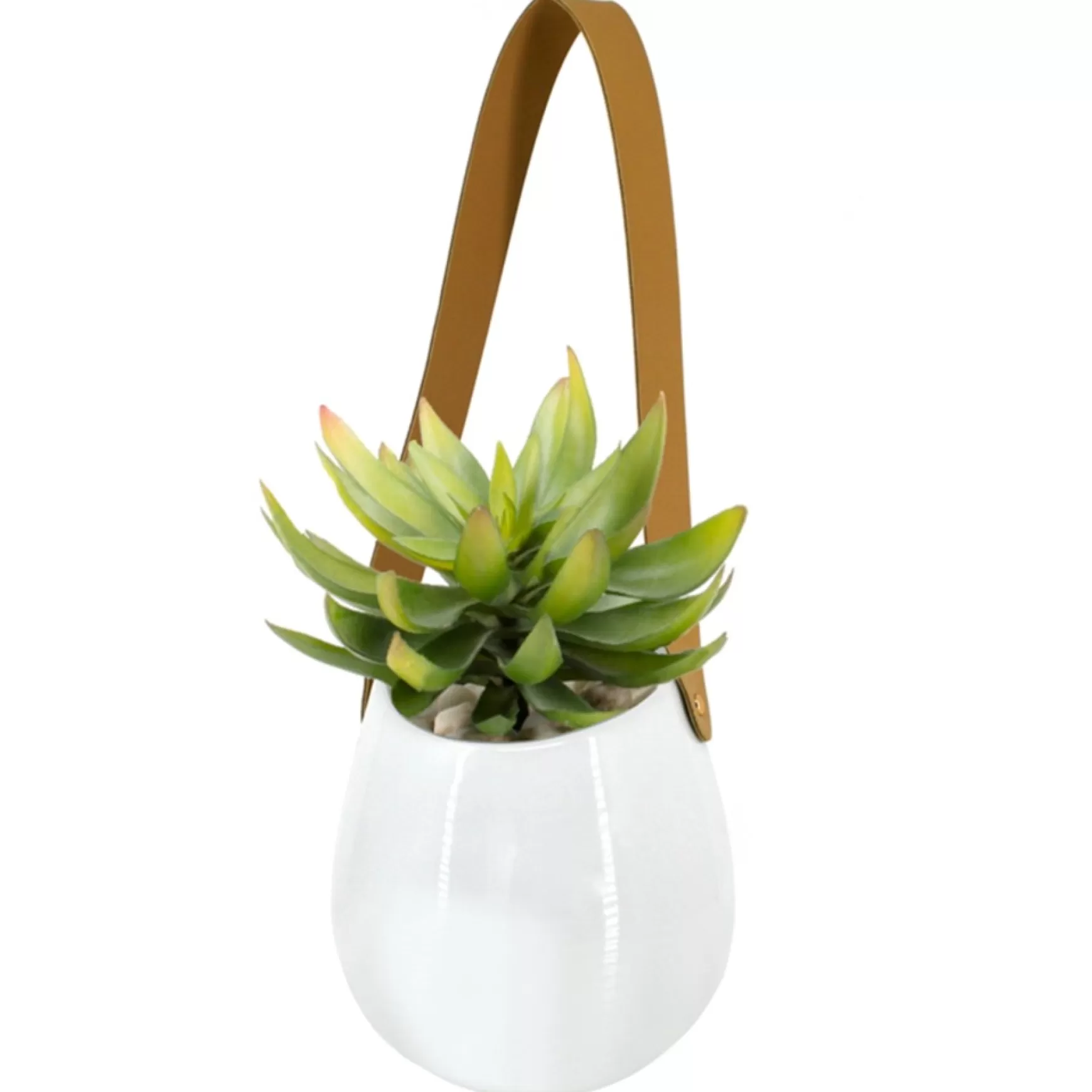 Wall Planters*Danesco Wall Mounted Planter With Leatherette Strap