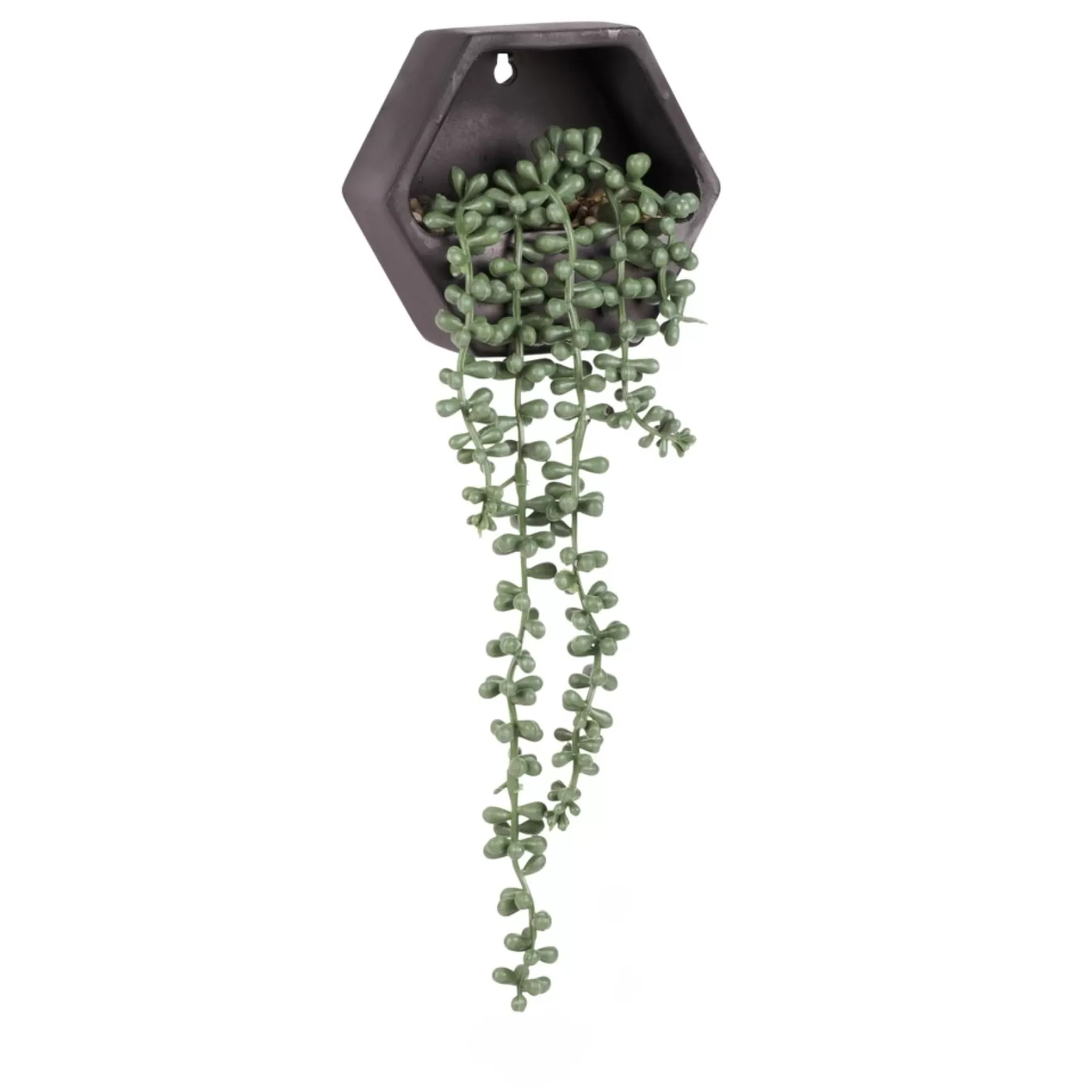 Wall Planters*Attitudes Import Wall Planter - Black Pot