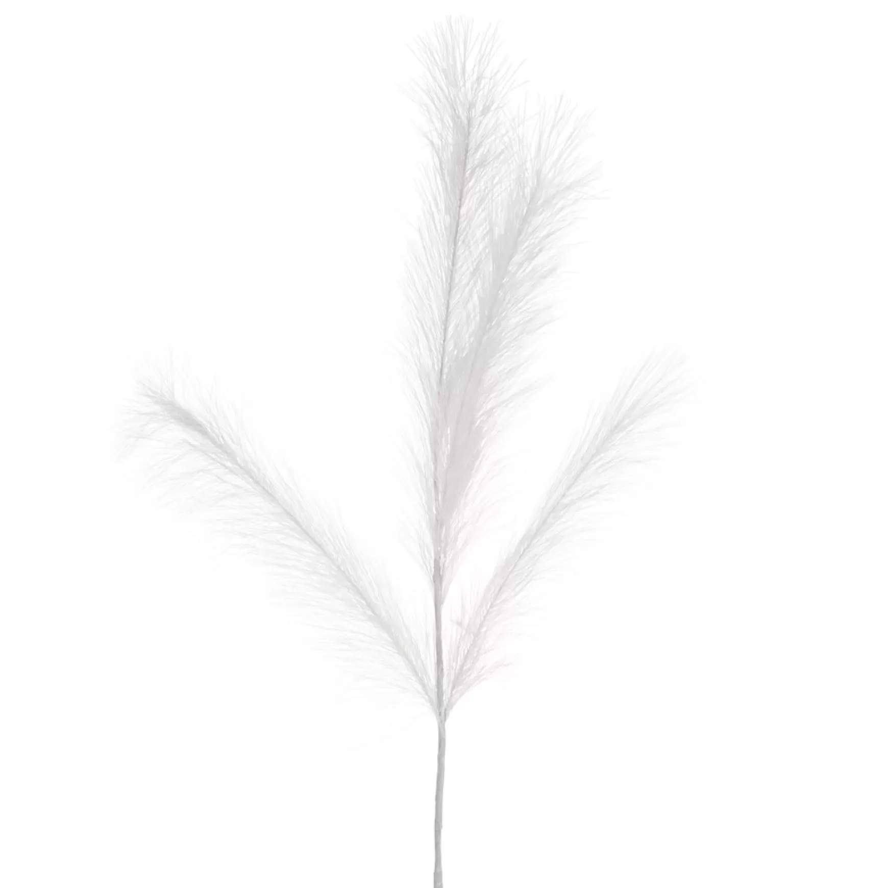 Dried Stems & Flowers*Attitudes Import White Feather Stem - Illuminated