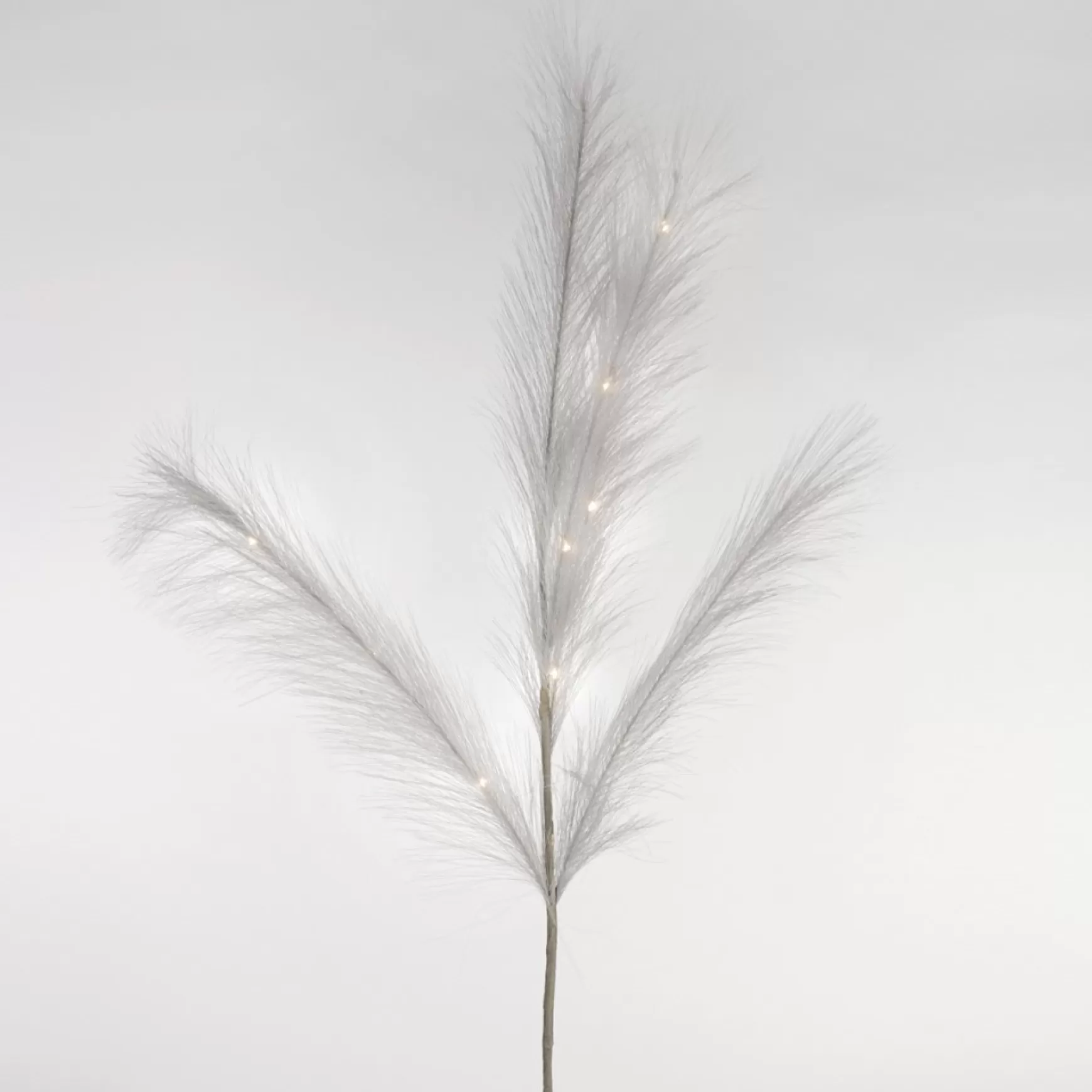 Dried Stems & Flowers*Attitudes Import White Feather Stem - Illuminated