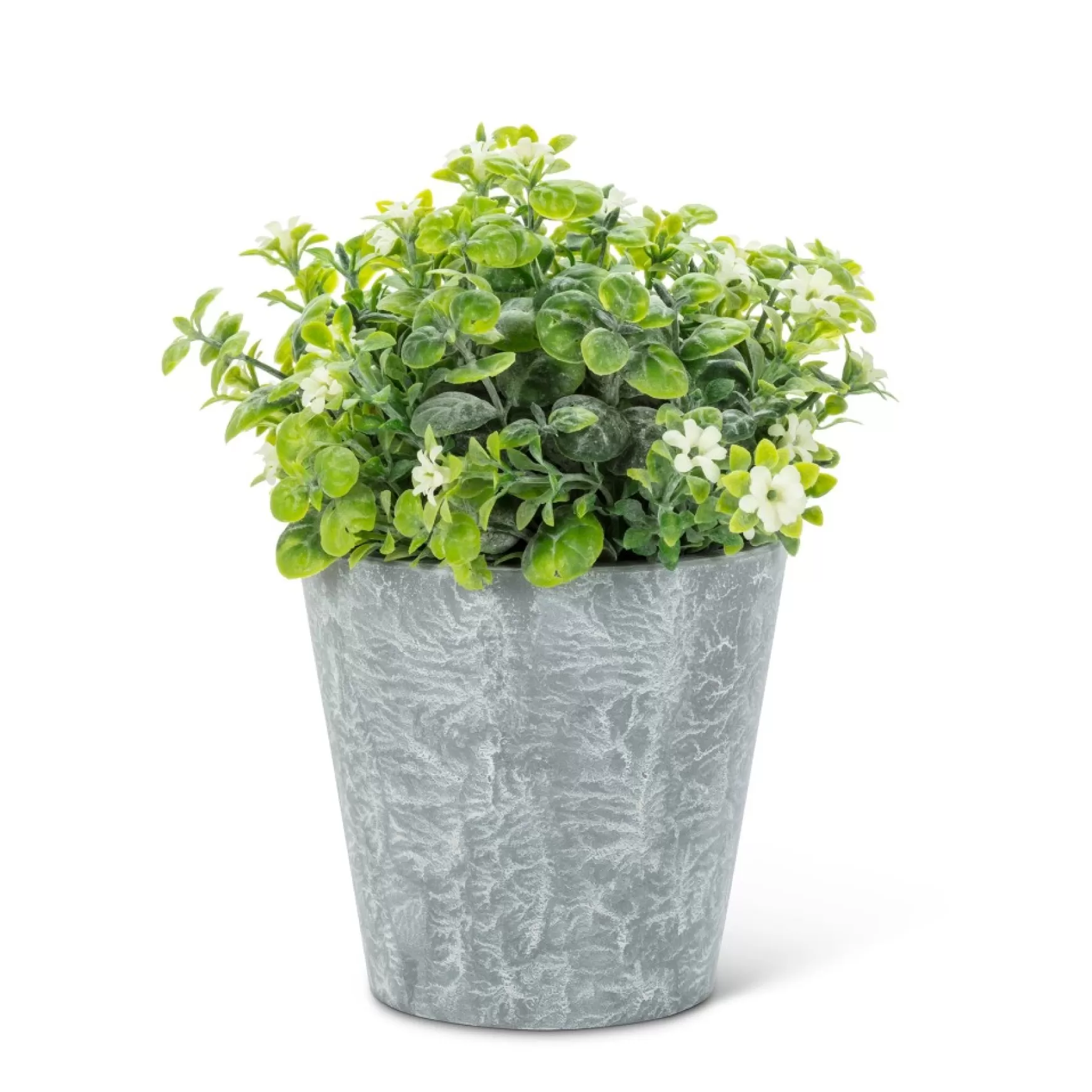 Arrangements*Abbott White Flowers - Cement Pot