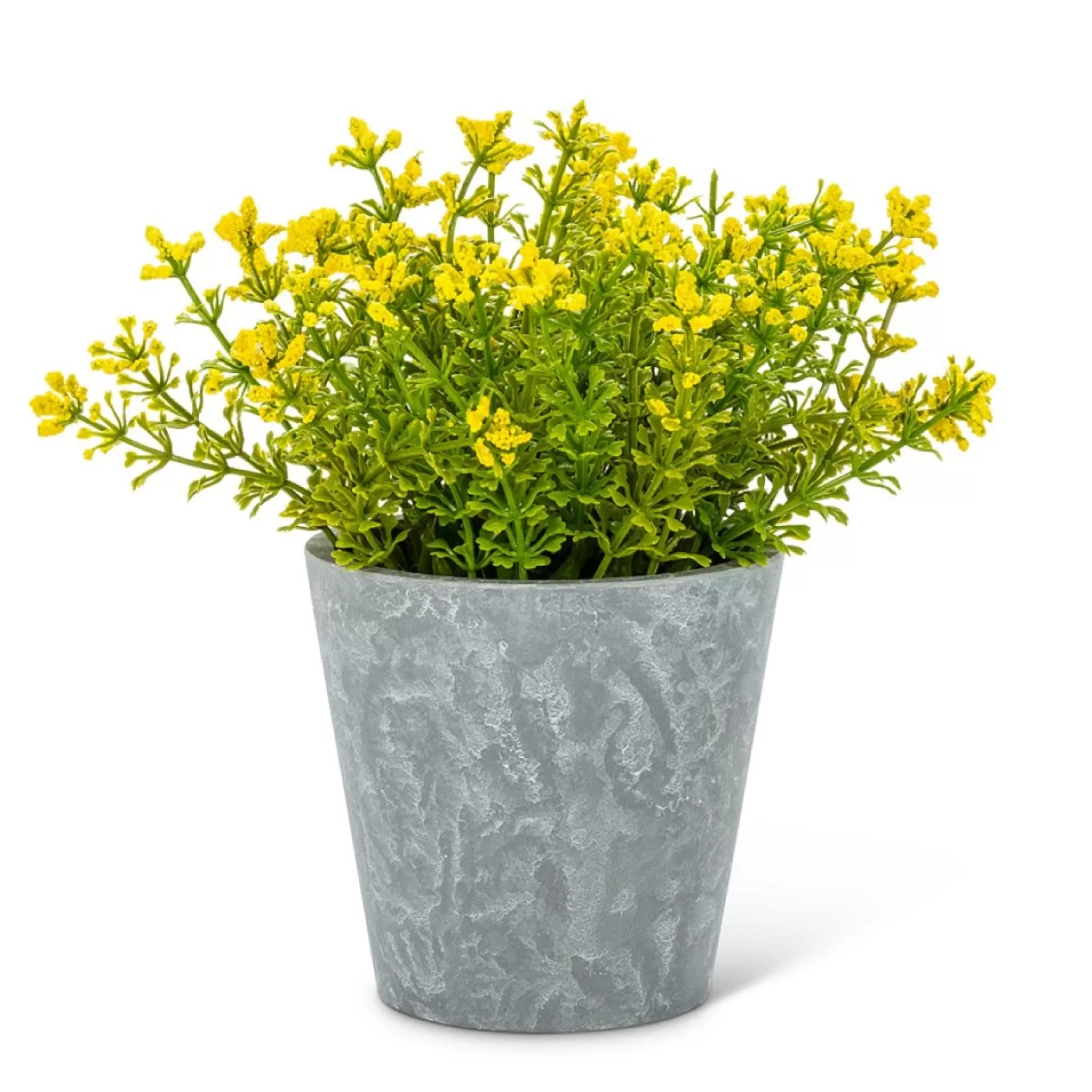 Arrangements*Abbott Yellow Flowers - Cement Pot