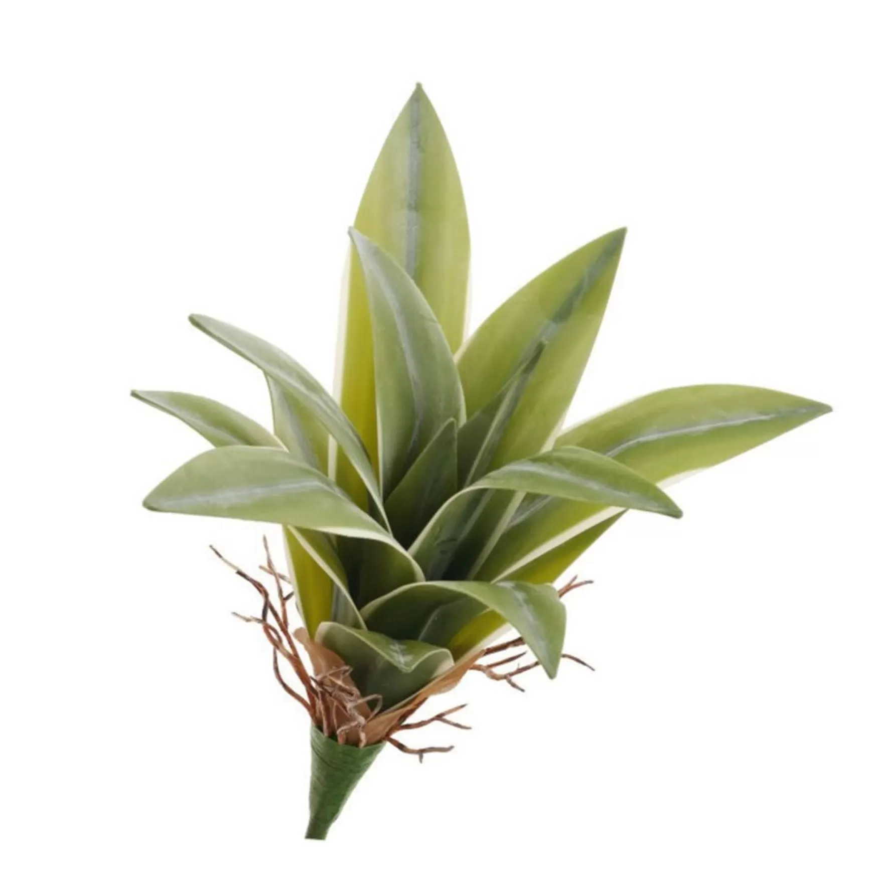 Greenery*Pine Center Yucca Plant